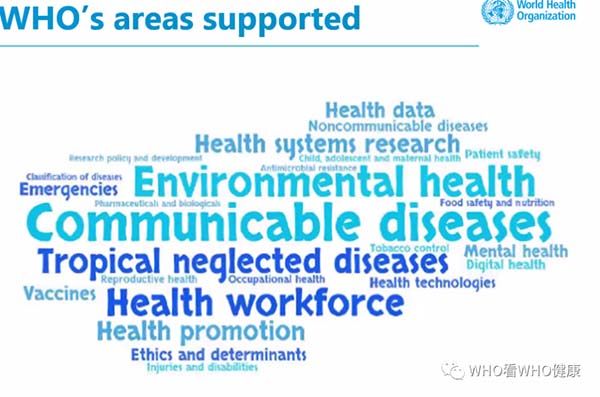 图片 10.jpg 图片 10.jpg