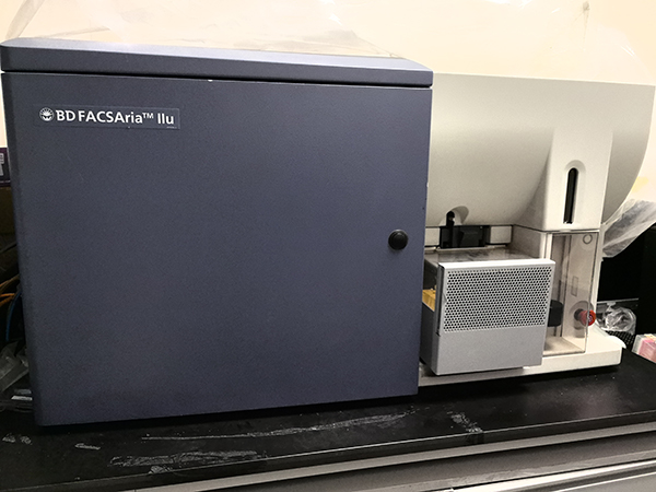 BD Aria II 分选流式细胞仪.jpg