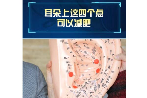 耳朵上这四个点位可以减肥?中医耳穴大揭秘!