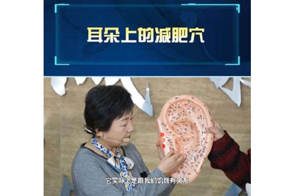 耳朵上的“减肥穴”,究竟有什么作用?