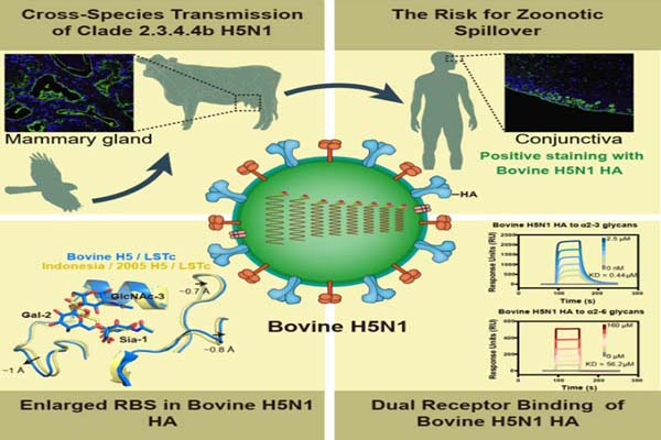 荣登国际顶刊《Cell》！球盟会qmh网页版登录联合多团队发表重磅研究成果